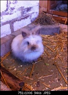 fundtier-aufregendes wochenende-img_1285.jpg