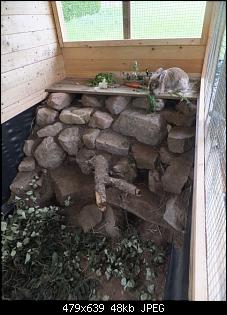 Neuer Stall & neuer Artgenosse?-2-bruno-small-.jpg