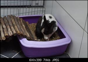 VG Nicy, Naja und Nuri-dsc03255.jpg