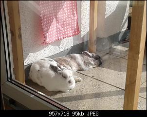 Und was ist mit mir ?-20140306_131251.jpg
