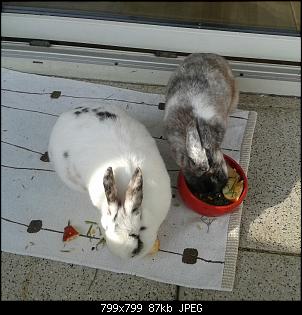 Und was ist mit mir ?-20140226_150439%7E2.jpg
