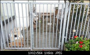 Operation: Sch�tzt die Kaninchen!-20140807_104726.jpg