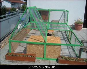 Kaninchenhaltung, Anf�ngerfragen-dscf3460-001.jpg