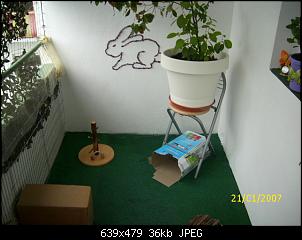 Ein neues Mitglied-dsci0097.jpg