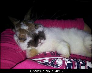 Schlafen?-20140827_131134.jpg