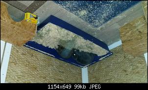 Dringend!!!Vermittlung!!!-20140924_221201.jpg