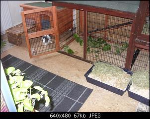 Ich bin ratlos... :(-neue-matten-009-small-.jpg