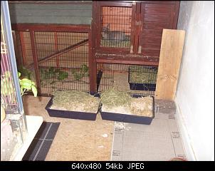 Ich bin ratlos... :(-neue-matten-010-small-.jpg