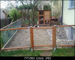 Mitbewohner verstorben-2014-04-27-17.34.47.jpg