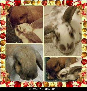 Frohes Fest!!!-20141223_234316.jpg