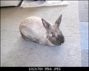 Klicke auf die Grafik f�r eine gr��ere Ansicht

Name:	PTDC0035.jpg
Hits:	128
Gr��e:	95,4 KB
ID:	35433