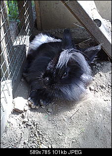 hey^^ ich bin neu hier und wollte mich ma vorstellen..-02072009254.jpg
