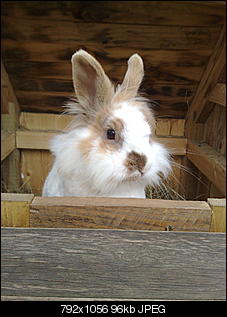 hey^^ ich bin neu hier und wollte mich ma vorstellen..-03072009280.jpg