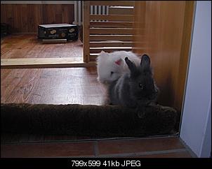 Babyalarm!!!!-cimg2675.jpg