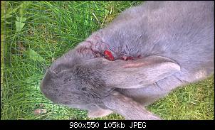 Vergesellschaftung von Beastly-wp_20150420_13_47_06_pro%5B1%5D.jpg