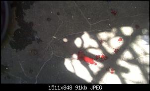 Vergesellschaftung von Beastly-wp_20150420_13_39_29_pro%5B1%5D.jpg