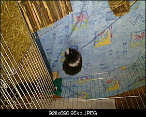 Babyalarm!!!!-31102010289.jpg