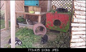 Weibchen rupft anderen das Fell aus-20140625_165810.jpg