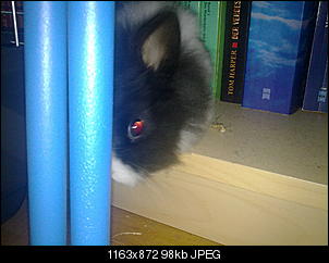 Babyalarm!!!!-06112010349.jpg