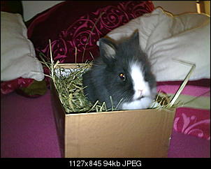 Babyalarm!!!!-13112010369.jpg