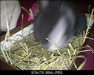 Babyalarm!!!!-13112010374.jpg
