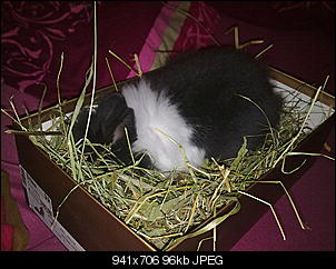 Babyalarm!!!!-13112010379.jpg