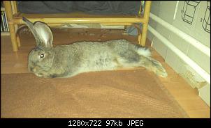 Medikamenteneingabe-2015-08-17-17.06.37.jpg