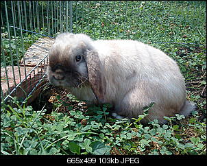 Was tun bei solchen Minusgraden??-dsc08932.jpg