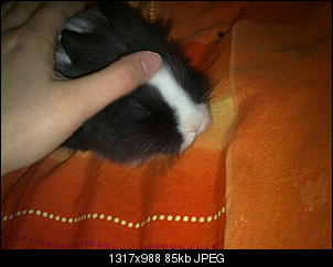 Babyalarm!!!!-02122010389.jpg
