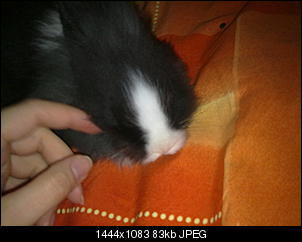 Babyalarm!!!!-02122010390.jpg