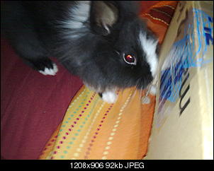 Babyalarm!!!!-02122010396.jpg