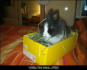 Babyalarm!!!!-02122010398.jpg