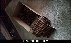 Schwere Entscheidung :/-20151105_163135.jpg