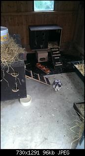 Kaninchenbabys, ohje..!!-imag2075.jpg