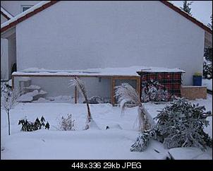 do they know it�s christmas?!?-img_4437.jpg