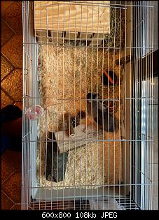Neues Familiemitglied-image.jpg