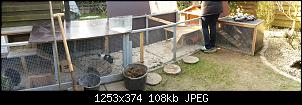 Marder Problem-20160228_120553.jpg
