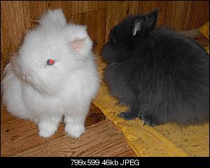 Babyalarm!!!!-cimg2877a.jpg