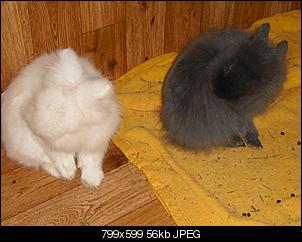 Babyalarm!!!!-cimg2878a.jpg