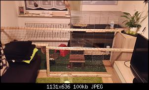 Klicke auf die Grafik f�r eine gr��ere Ansicht

Name:	1460142031246-771104262.jpg
Hits:	261
Gr��e:	99,7 KB
ID:	45026