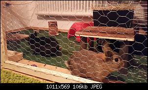 Klicke auf die Grafik f�r eine gr��ere Ansicht

Name:	1460142115840-1778299324.jpg
Hits:	247
Gr��e:	105,9 KB
ID:	45029