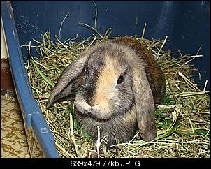Niklaas ist da ! :D-dsc00137c.jpg