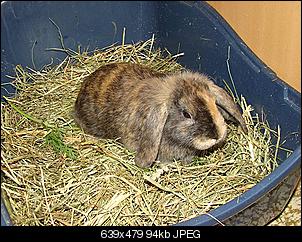 Niklaas ist da ! :D-dsc00141mz.jpg