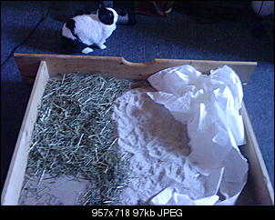 Kuschelkiste :)-b-la-170.jpg
