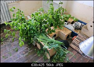 3 kastrierte Jungs - Zusammenf�hrungs-live-ticker-nv6u1c.jpg