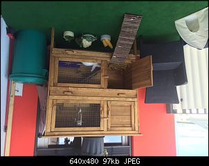 Stubenreinheit pl�tzlich weg-image1de322.jpg