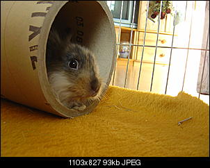 Ein Newbie braucht Hilfe-dsc00270.jpg