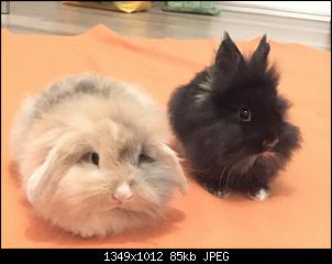 Wir sind neu hier!-babies.jpg