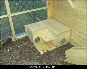 Junge Kaninchen �berwintern-6.jpg