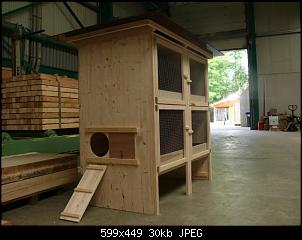 Junge Kaninchen �berwintern-404_0.jpg